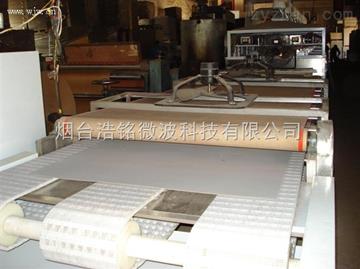 隧道式纸板烘干机—微波纸板烘干机